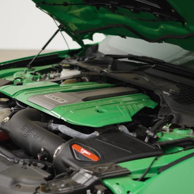 green-mustang 14