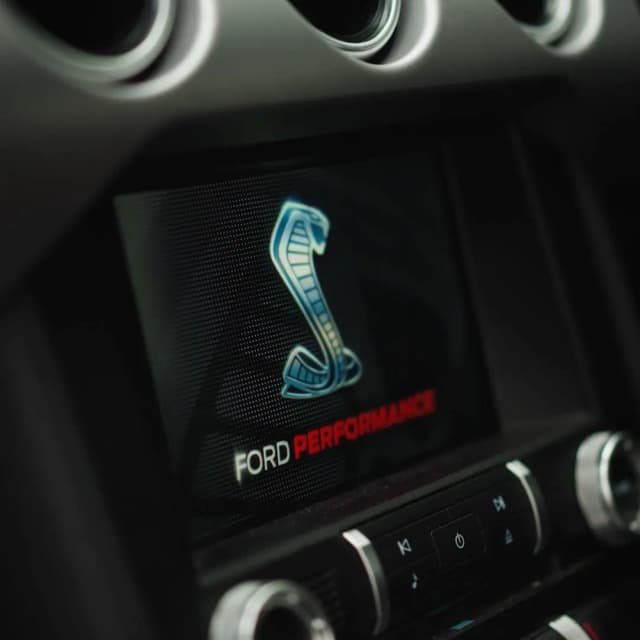 green-mustang 16