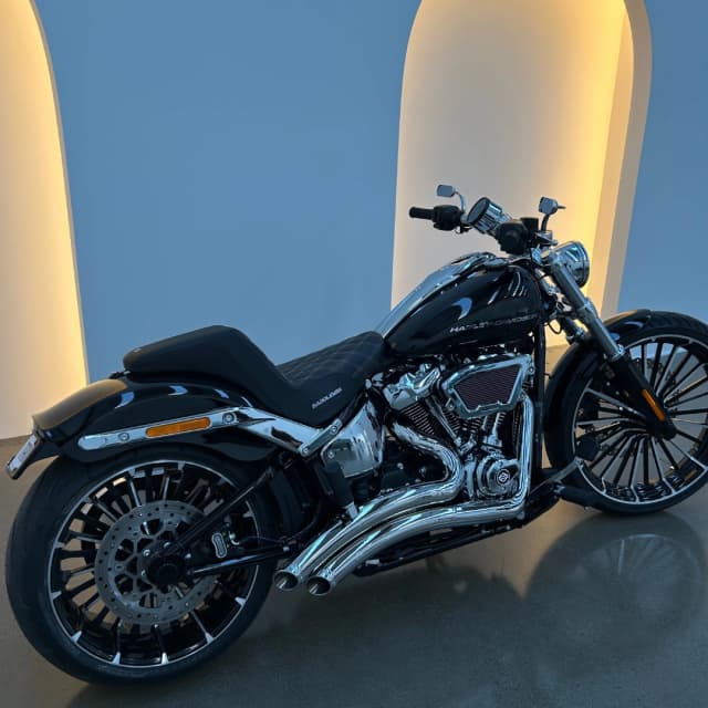 harley 12