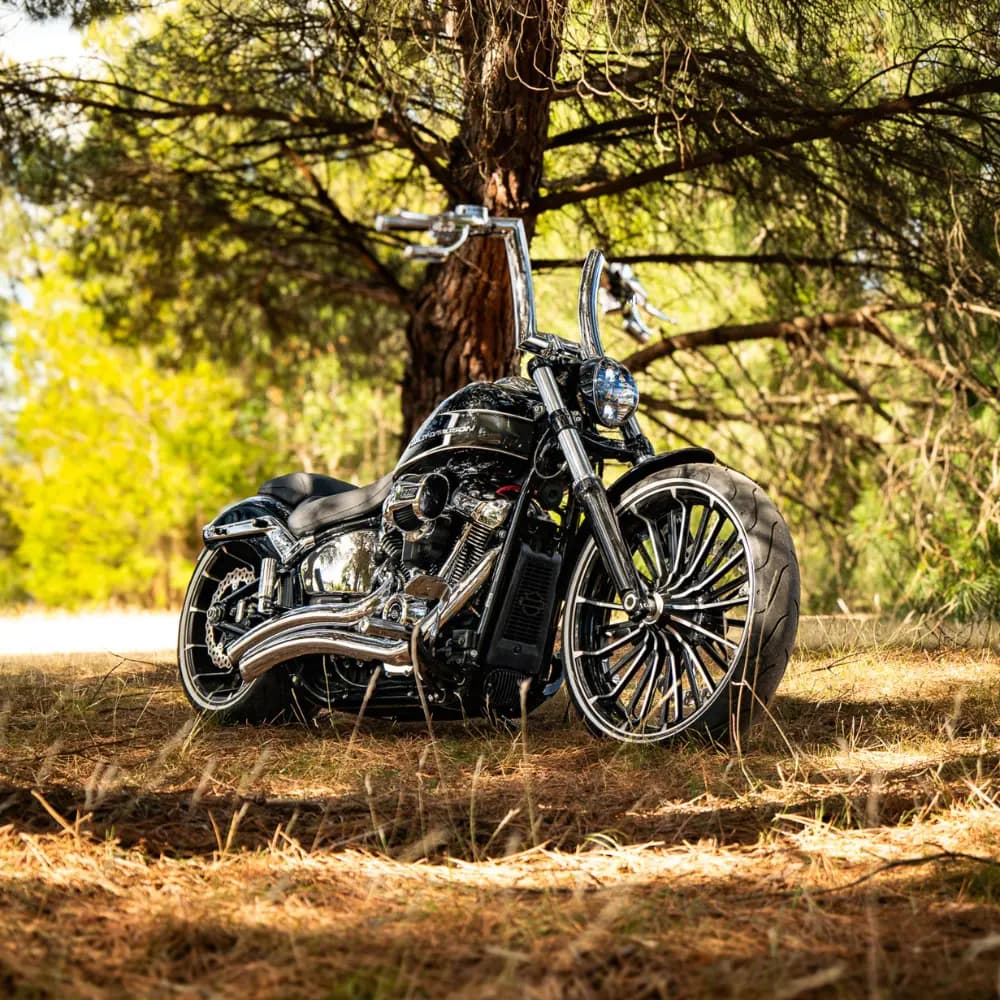 harley-breakout 27
