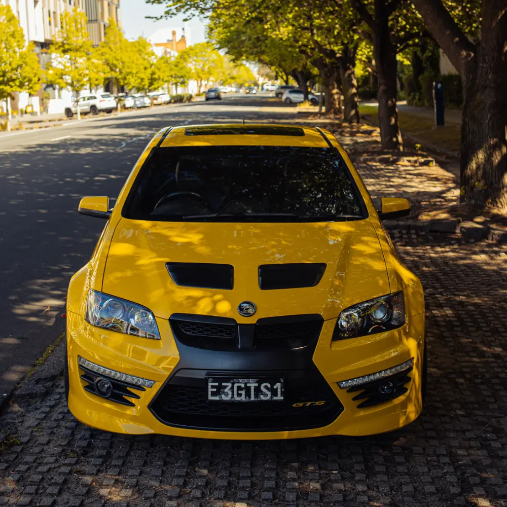 hsv 3