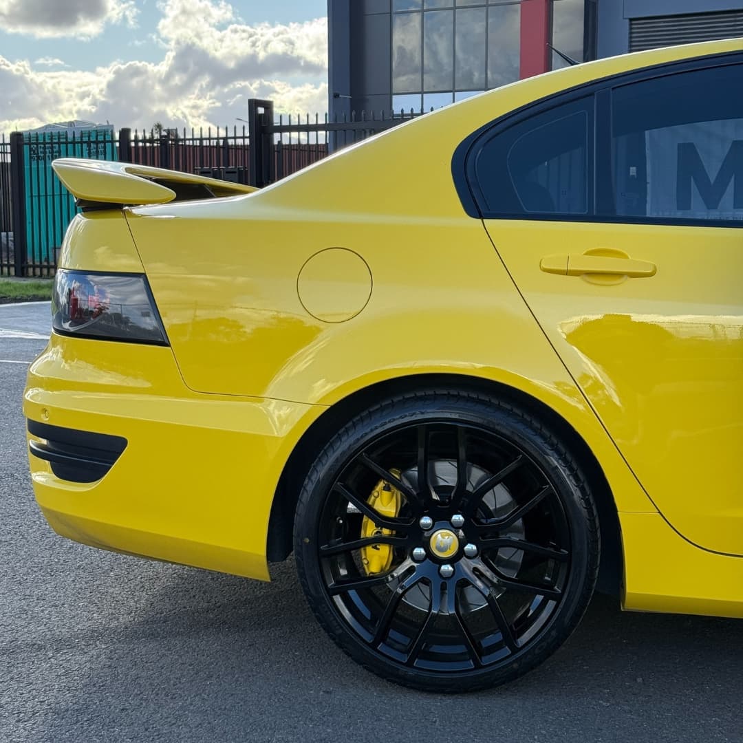 hsv 8