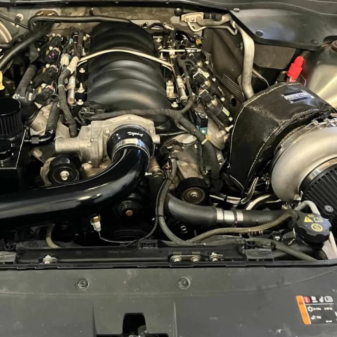 maloo 22