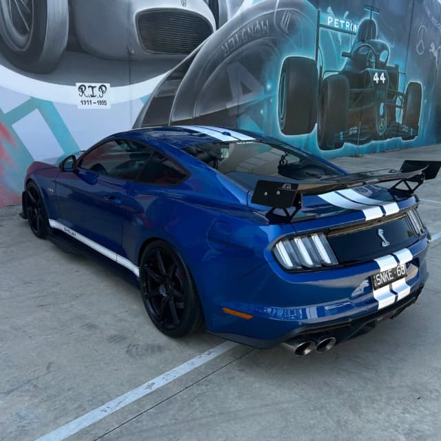 mustang 10