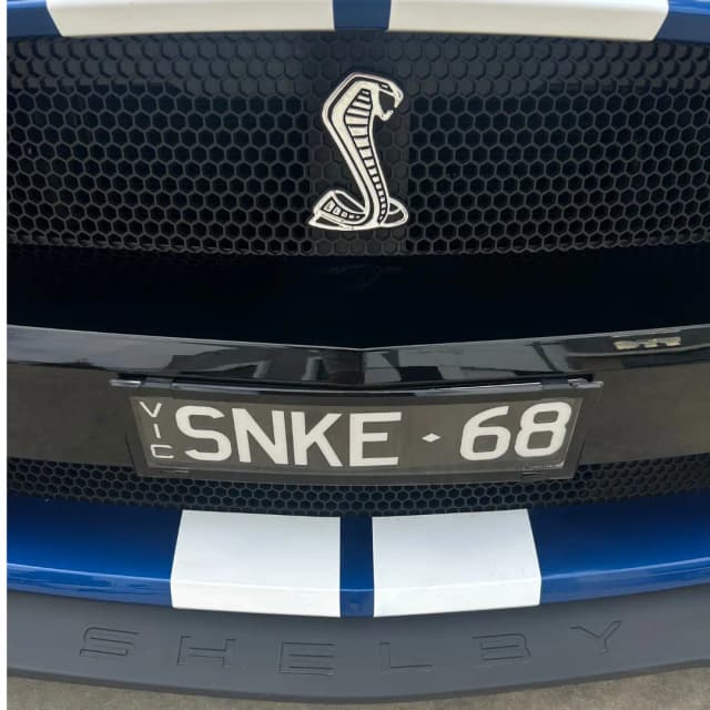 mustang 14