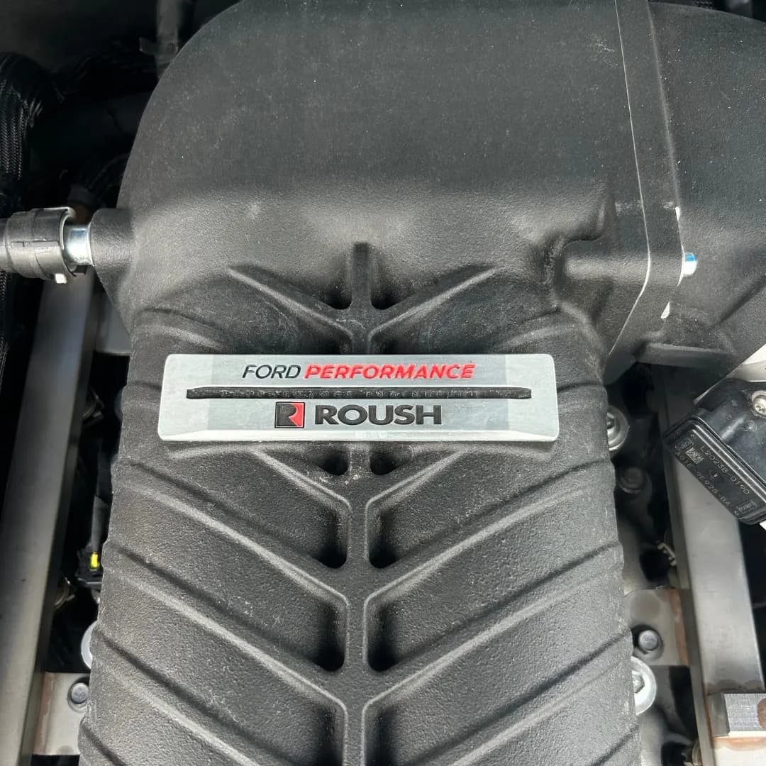 mustang 16