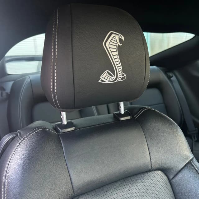 mustang 17