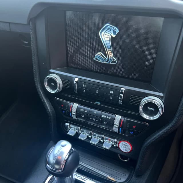 mustang 18
