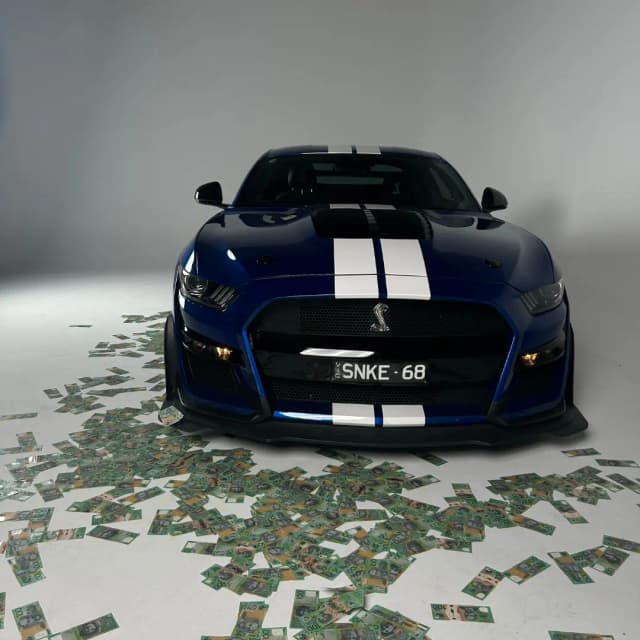 mustang 7
