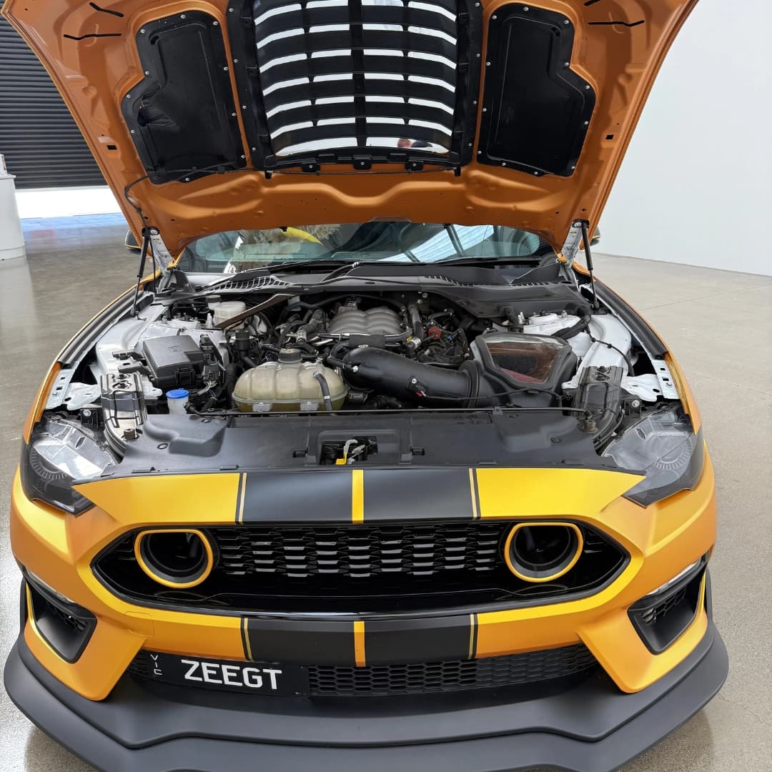 mustang 10