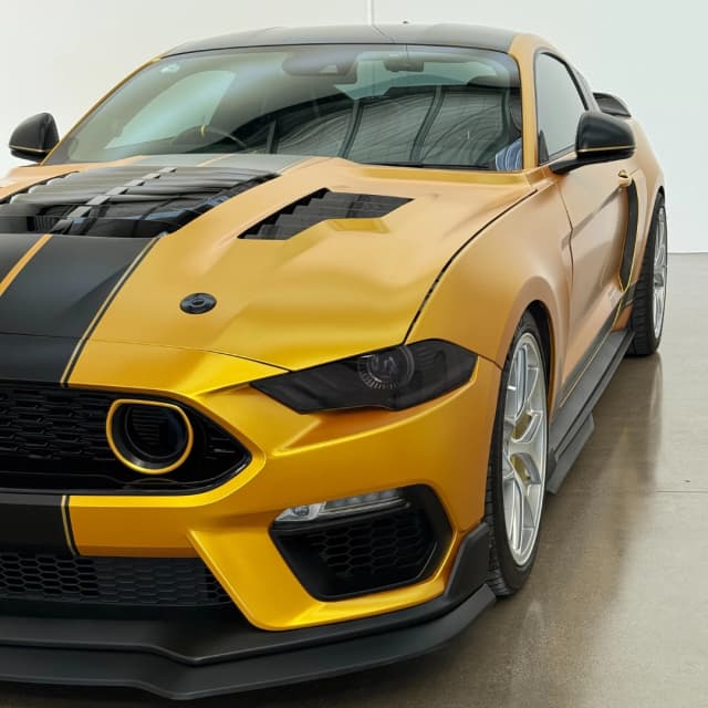 mustang 11