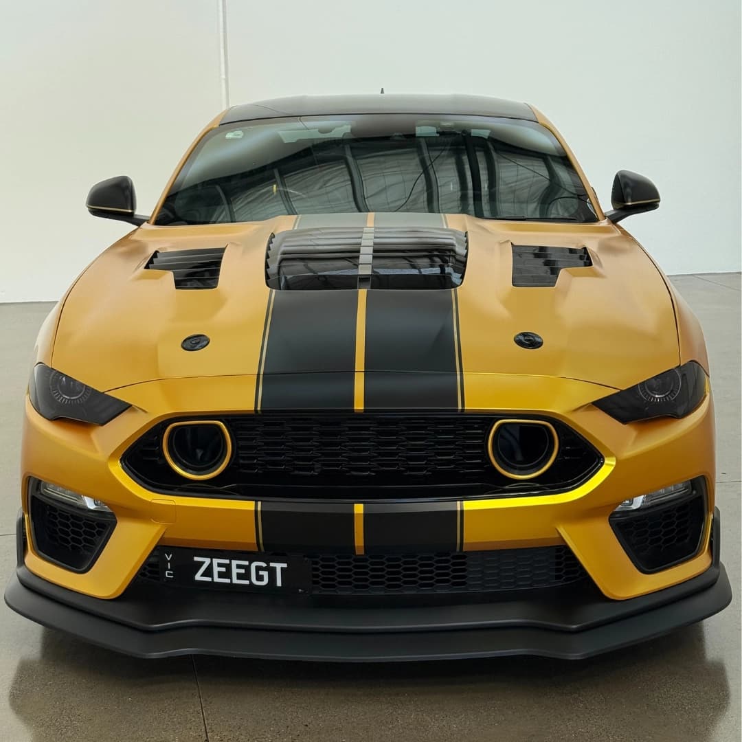 mustang 12