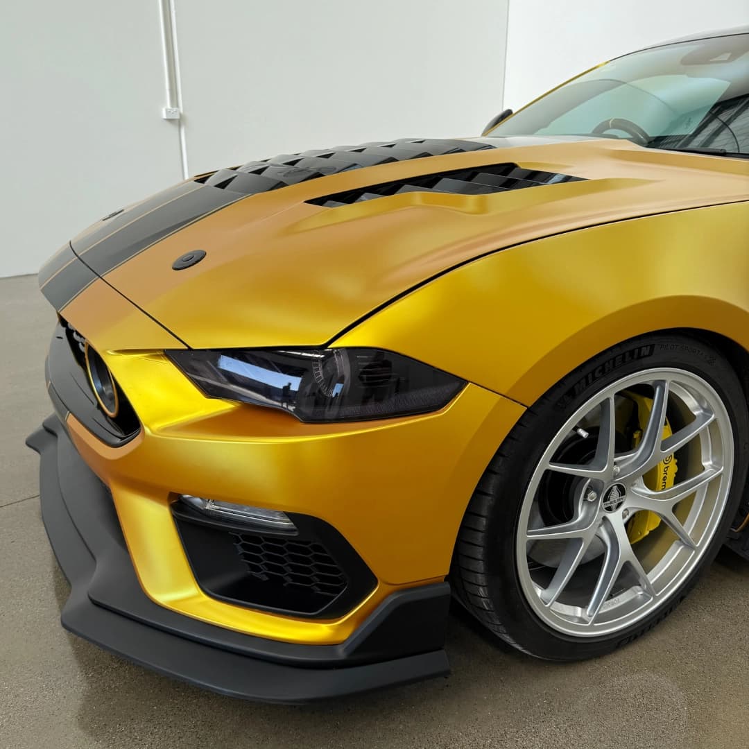 mustang 16