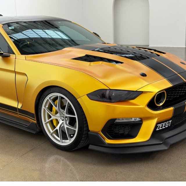 mustang 18