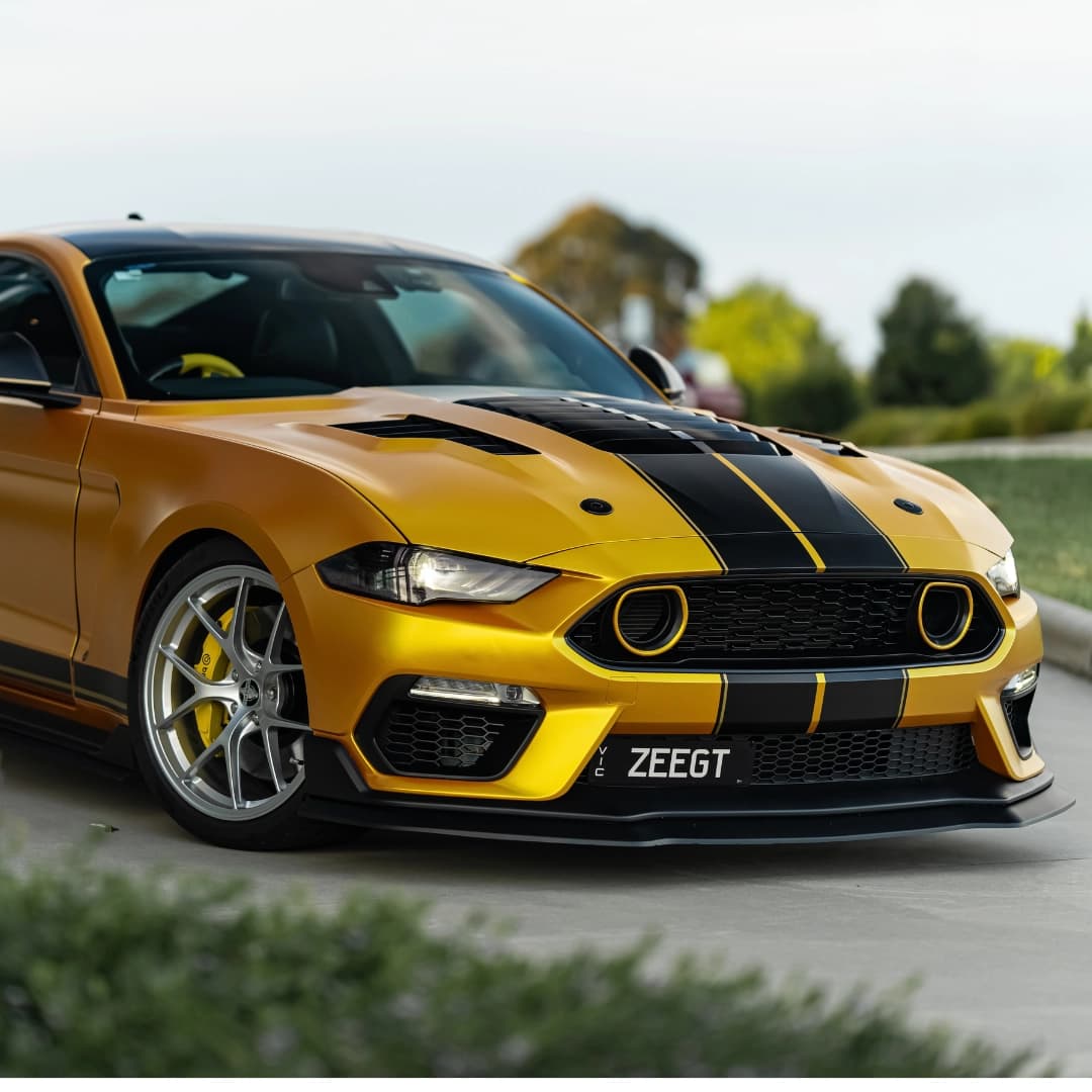 mustang 8
