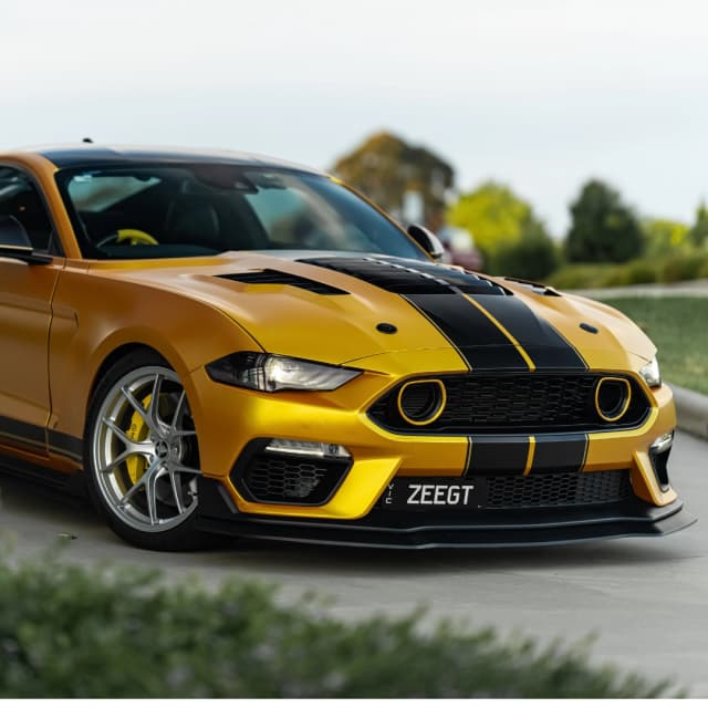 mustang 8