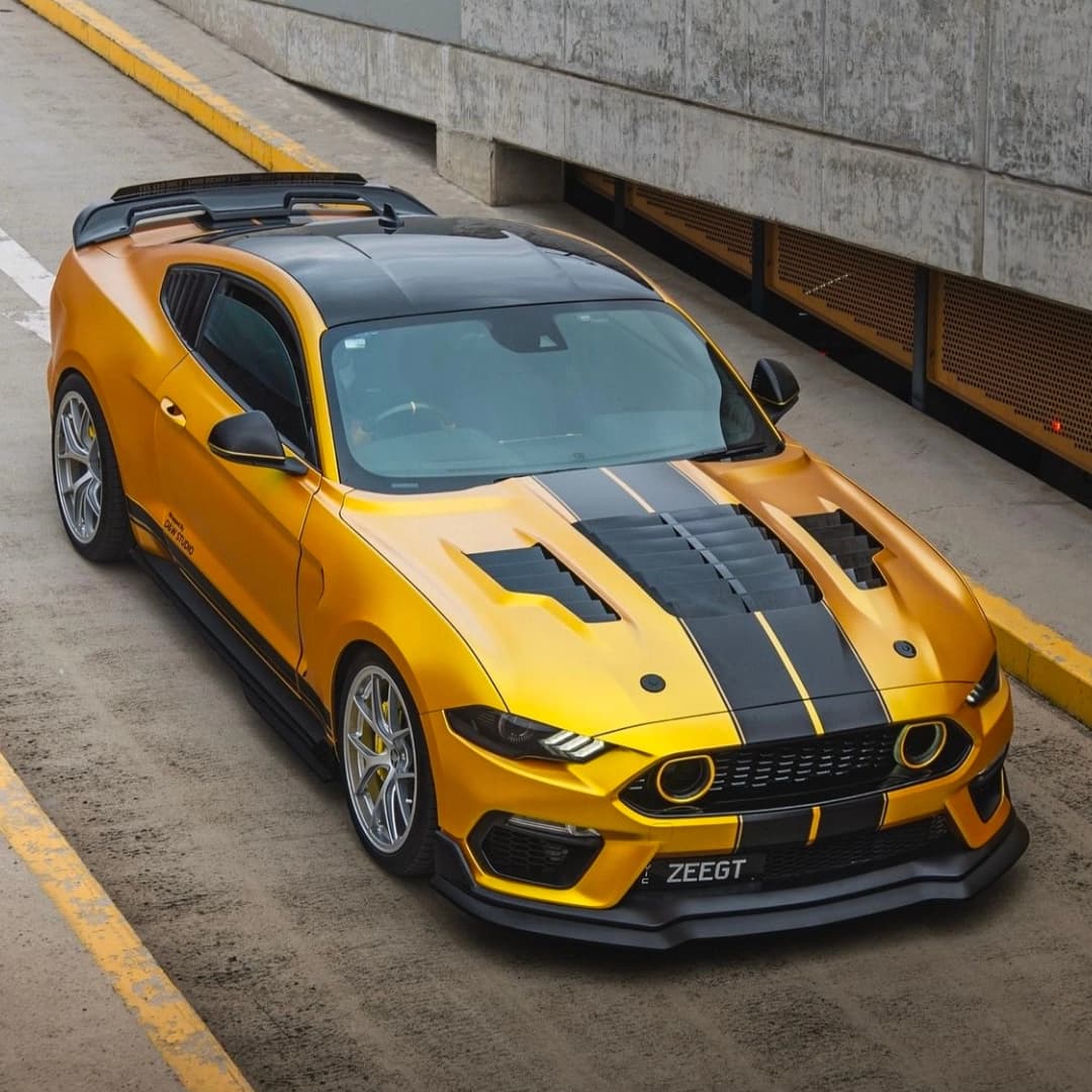 mustang 1