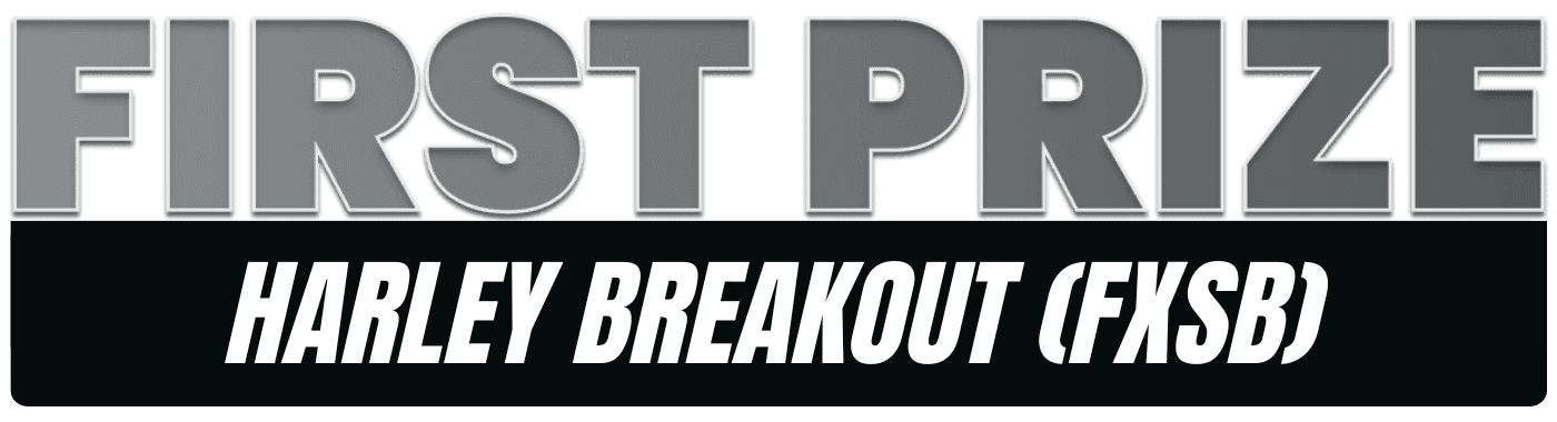 custom-harley First Prize