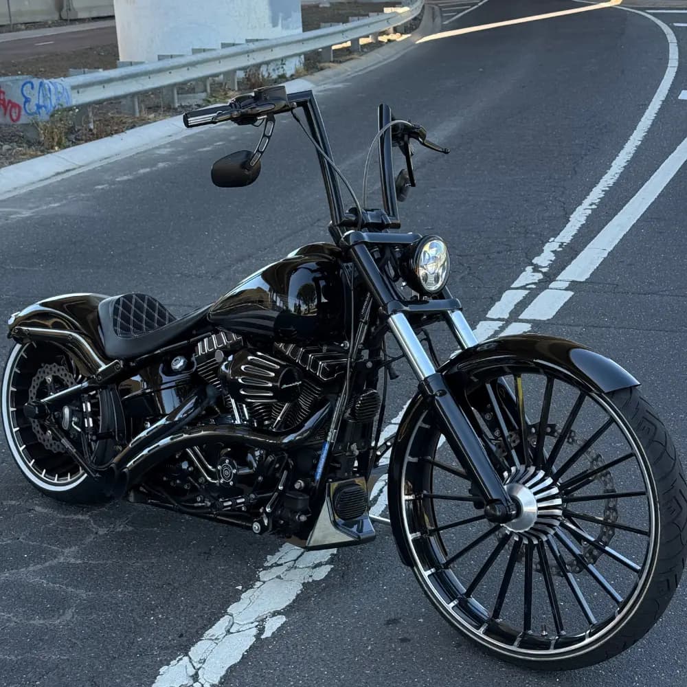 custom-harley 13